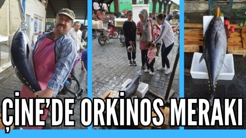 ÇİNE'DE ORKİNOS BALIĞI MERAKI